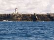 P1011036.JPG